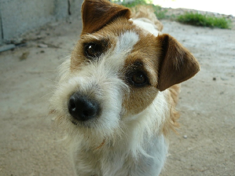 Bastide (Sans Affixe)