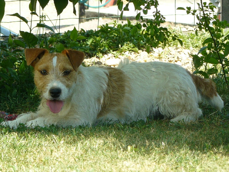 Frisbee des Hauts-Marizys