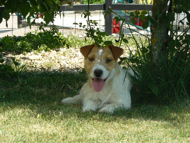 Frisbee des Hauts-Marizys