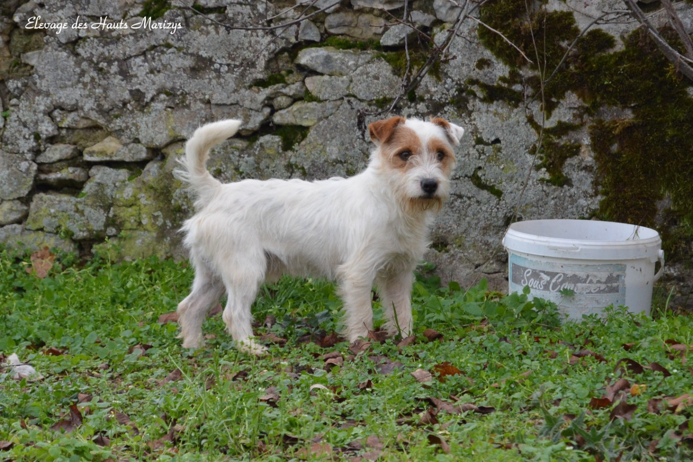 Neïko cherche un panier 5* pour retraite