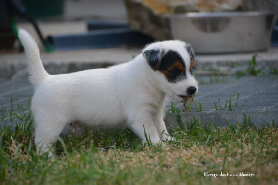 Axle